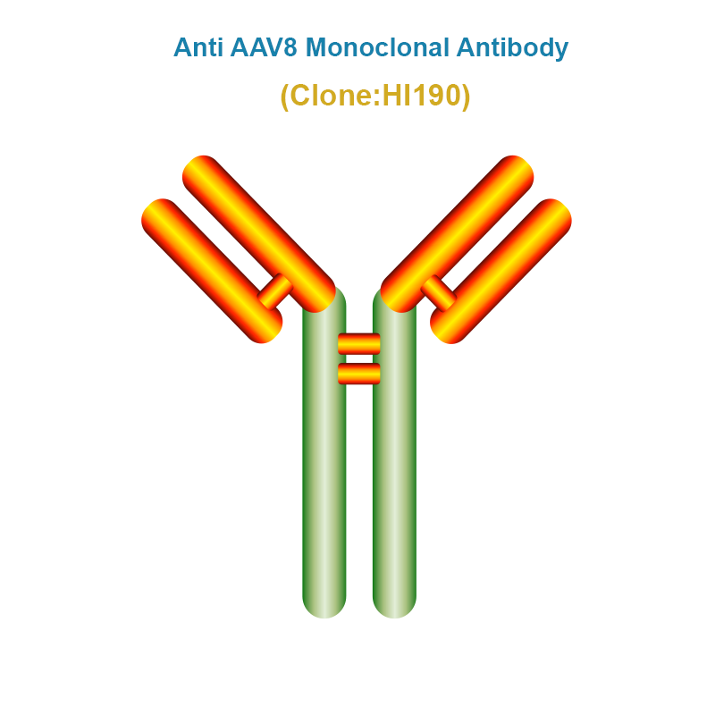 Anti AAV8 antibody, Clone HI190