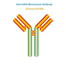 Load image into Gallery viewer, Anti AAV8 antibody, Clone HI190