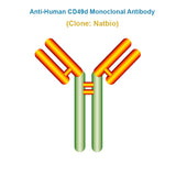 Anti-Human CD49d Monoclonal Antibody