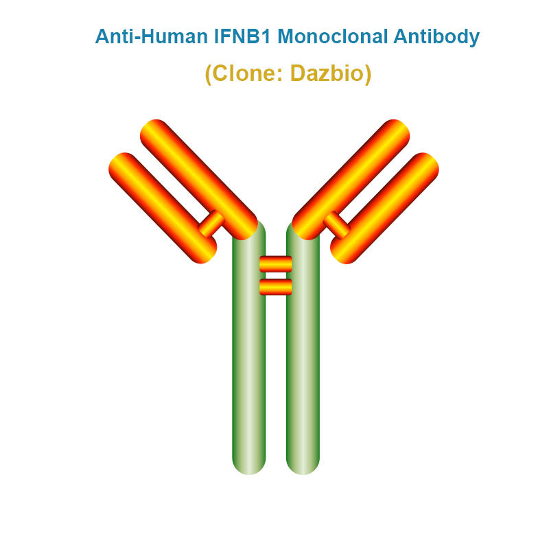 Anti-Human IFNB1 Monoclonal Antibody