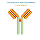 Anti-Human IL-22 Monoclonal Antibody