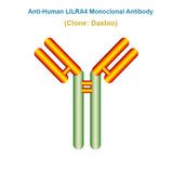 Anti-Human LILRA4 Monoclonal Antibody