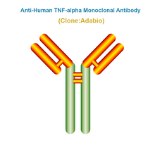 Load image into Gallery viewer, Anti-Human TNF-alpha Monoclonal Antibody, Clone: Adabio