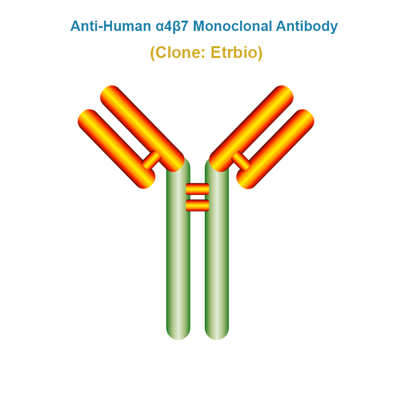 Anti-Human α4β7 Monoclonal Antibody, Clone: Etrbio