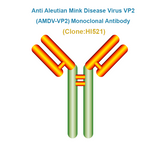 Anti Aleutian Mink Disease Virus VP2 (AMDV-VP2) Monoclonal Antibody