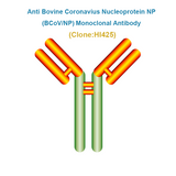 Anti Bovine Coronavius Nucleoprotein NP (BCoV/NP) Monoclonal antibody