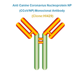 Anti Canine Coronavius Nucleoprotein NP (CCoV/NP) Monoclonal antibody