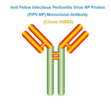 Load image into Gallery viewer, Anti Feline Infectious Peritonitis Virus NP Protein (FIPV-NP) Monoclonal Antibody