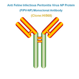 Anti Feline Infectious Peritonitis Virus NP Protein (FIPV-NP) Monoclonal Antibody