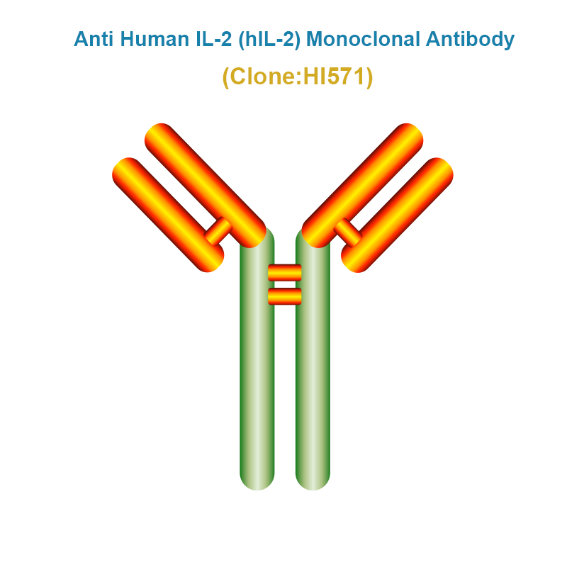 Anti Human IL-2 (hIL-2) Monoclonal Antibody