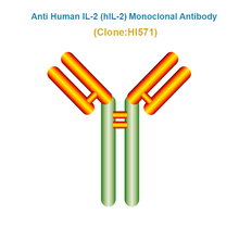 Load image into Gallery viewer, Anti Human IL-2 (hIL-2) Monoclonal Antibody