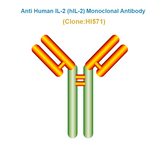 Anti Human IL-2 (hIL-2) Monoclonal Antibody