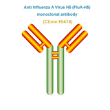 Anti Influenza A Virus H5 (FluA-H5) Monoclonal Antibody