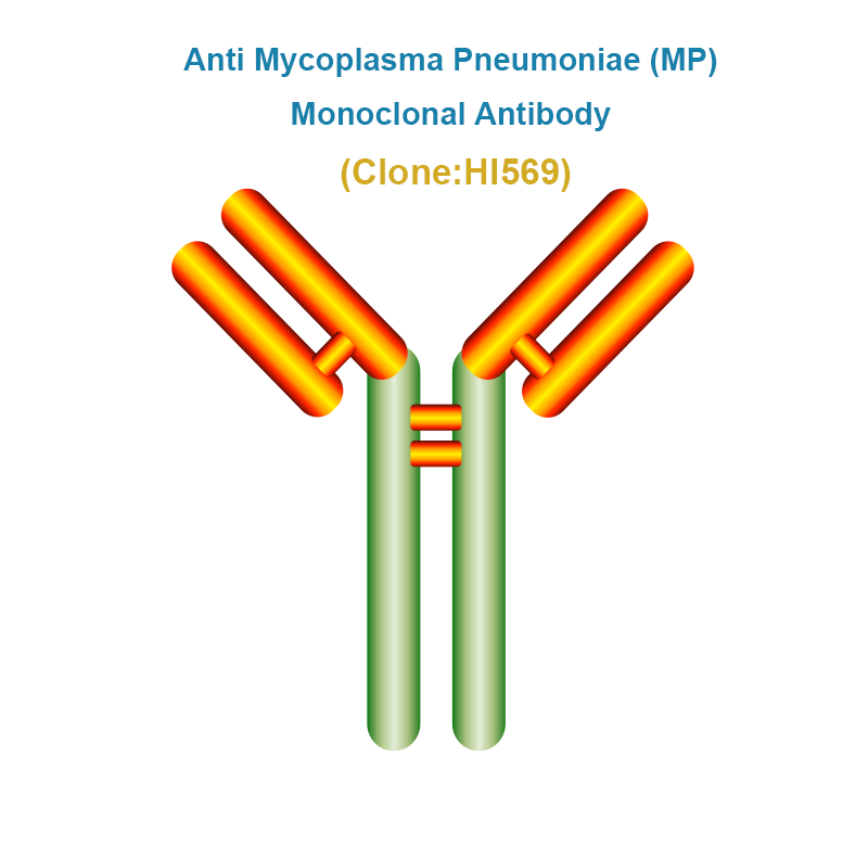 Anti Mycoplasma Pneumoniae (MP) Monoclonal Antibody, Clone HI569