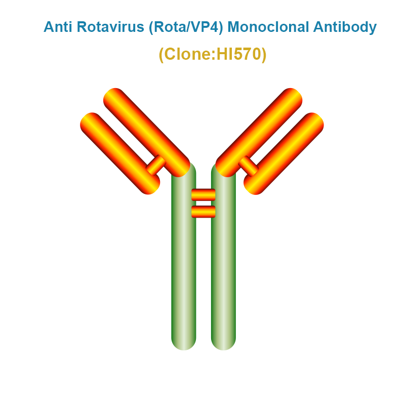 Anti Bovine Rotavirus (BRoV/VP4) Monoclonal Antibody, HI570