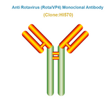 Anti Bovine Rotavirus (BRoV/VP4) Monoclonal Antibody, HI570