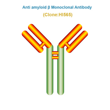 Load image into Gallery viewer, Anti Amyloid β Monoclonal Antibody