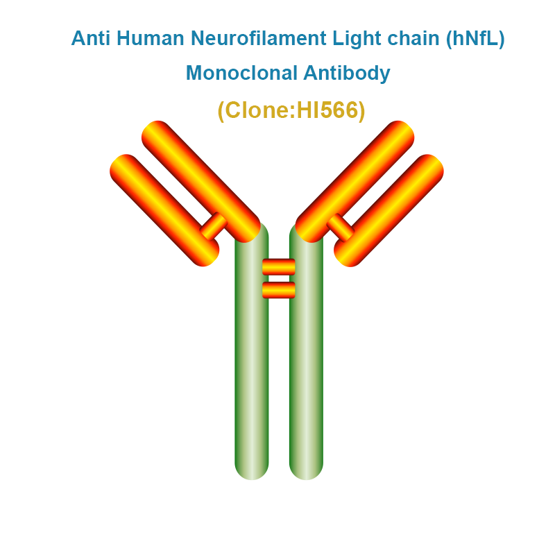 Anti Human Neurofilament Light chain (hNfL) Monoclonal Antibody