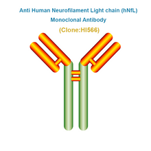 Load image into Gallery viewer, Anti Human Neurofilament Light chain (hNfL) Monoclonal Antibody