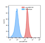 CHO cyno-LILRB1 (ILT2) cell pool