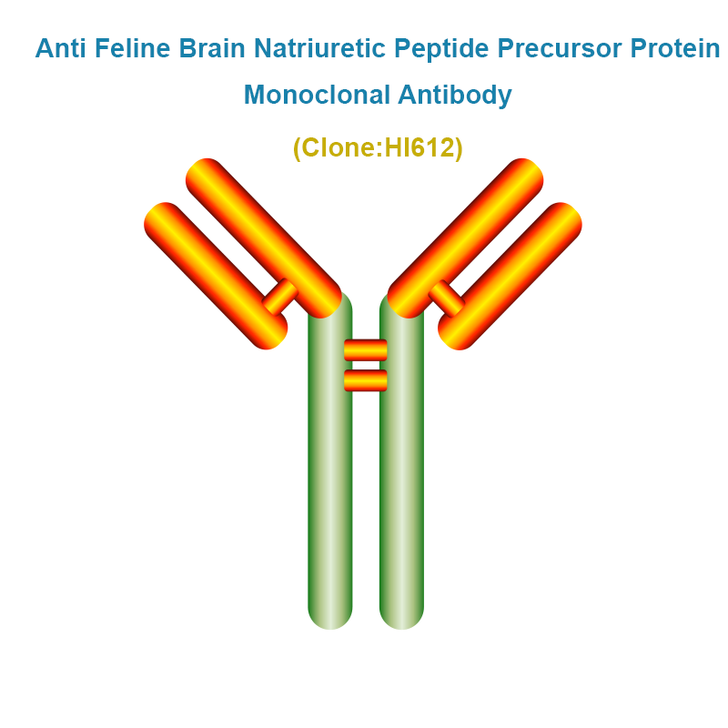 Anti Feline Brain Natriuretic Peptide Precursor Protein (fproBNP)Monoclonal Antibody