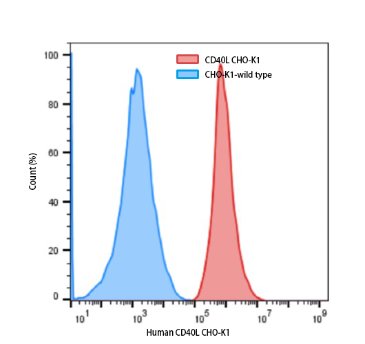 Human CD40L-CHO-K1 Stable Cell Line