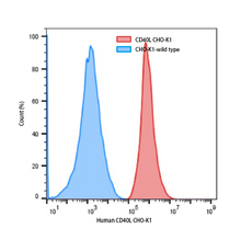 Load image into Gallery viewer, Human CD40L-CHO-K1 Stable Cell Line