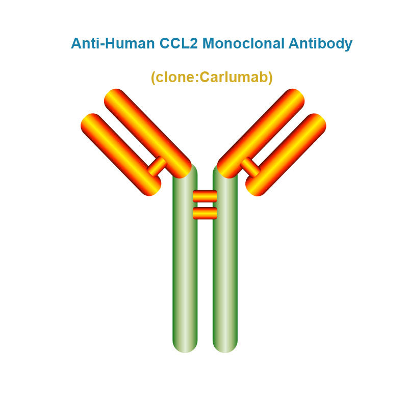 Anti-Human CCL2 Monoclonal Antibody, Clone:Carlumab