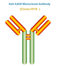 Load image into Gallery viewer, Anti AAV8 antibody, Clone HI19