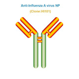 Anti-Influenza A virus NP monoclonal antibody