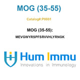 Myelin Oligodendrocyte Glycoprotein Peptide (35-55), MOG (35-55)